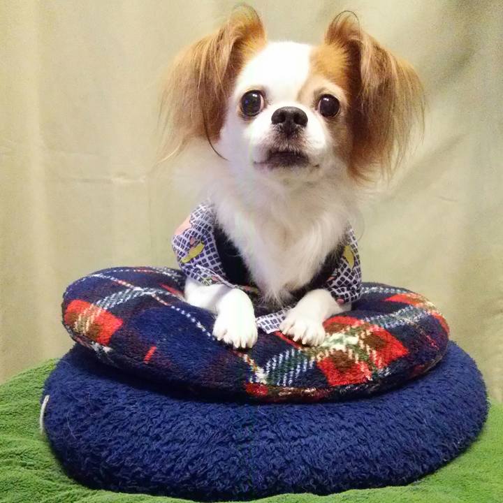 76c21df6 cefb 4e99 b6d0 8d3bb8068f11