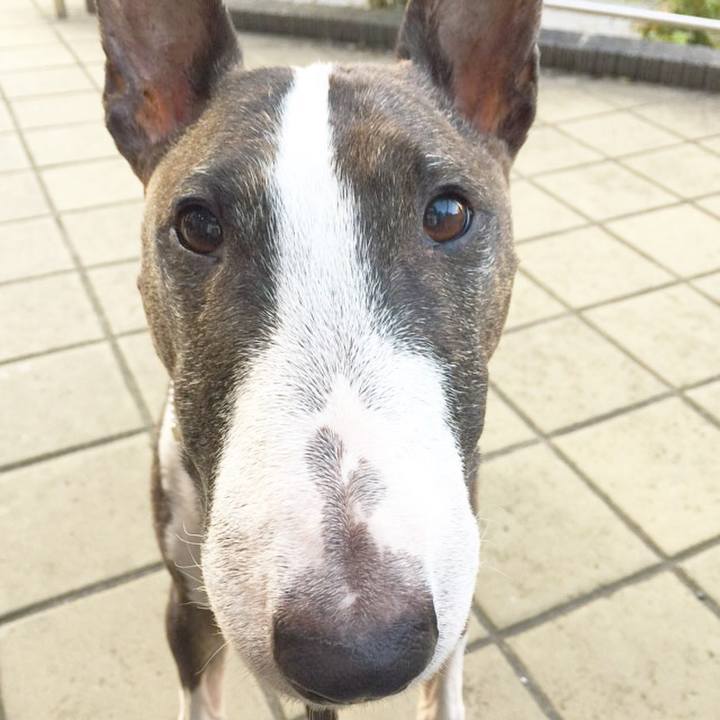 76c2a9a1 3d08 4f00 926d 96cfdd3c3587