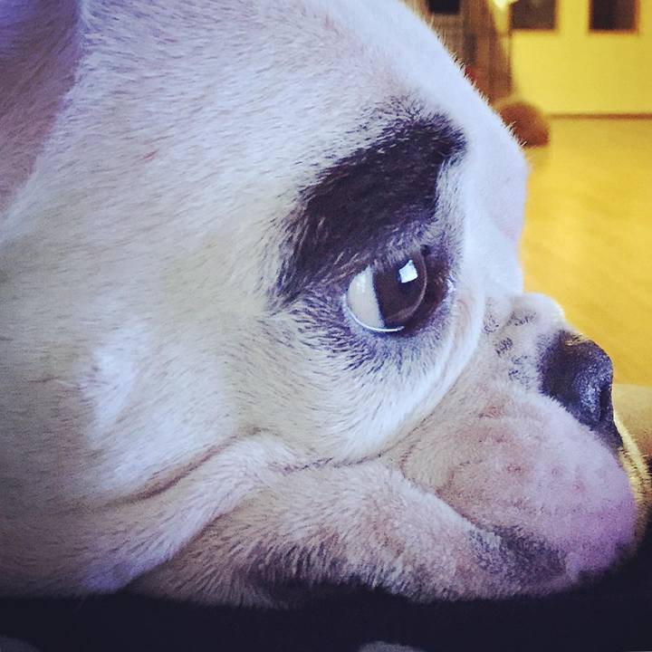 76c31bd8 32e5 4215 a132 e993c1b1ba8c