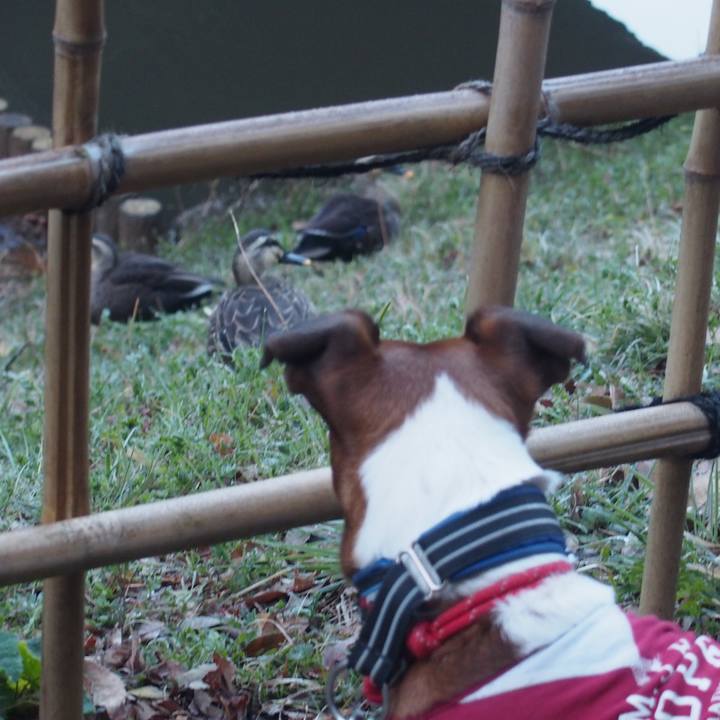 76c34a96 a9f5 4912 b77b f35d4bcda892