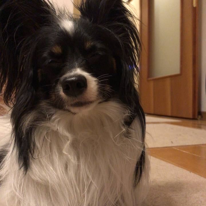 76c40d79 2d3e 4add ab69 5f43ab27bd45