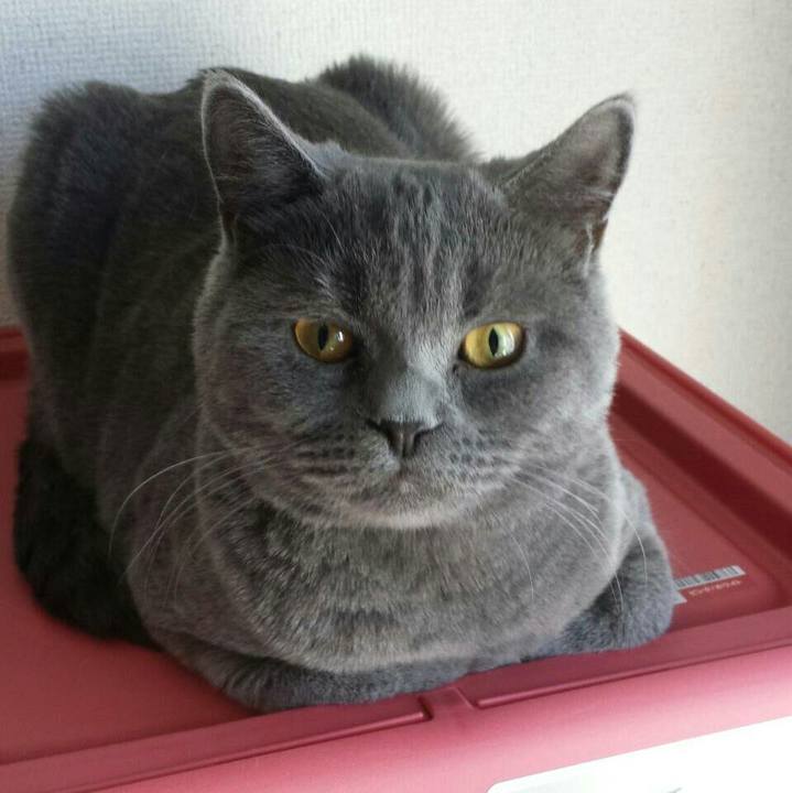 76c55d80 181c 469d a8b6 92ebc4dd02f0