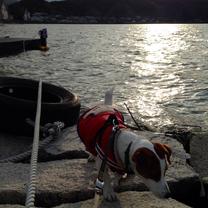 76c62cbf 52ec 4995 99b1 235ba5884001