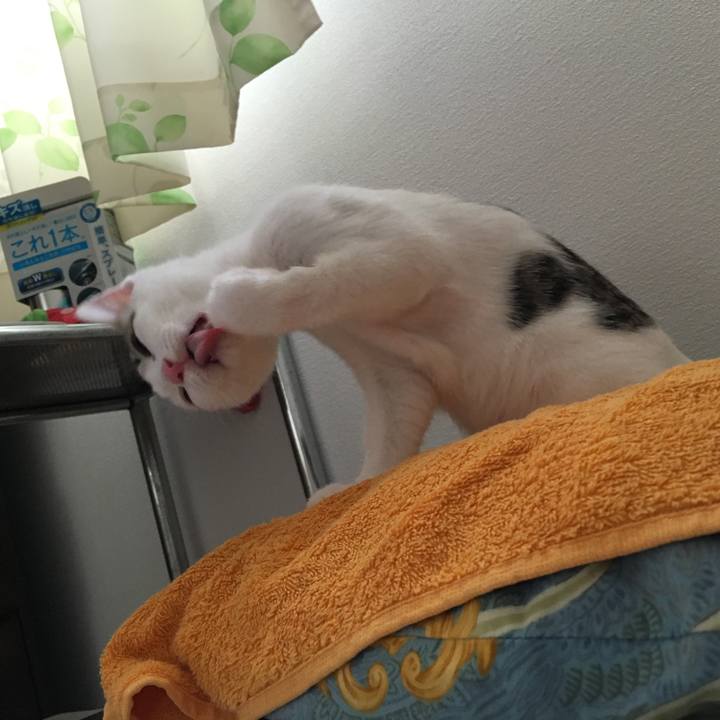 76c65cbd cb00 45d9 9718 d490e3134baf