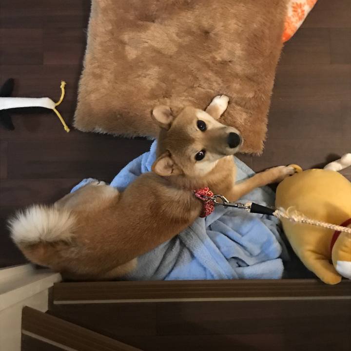 76c661b5 f2e4 40e5 a5be 2a32c28fe5e3