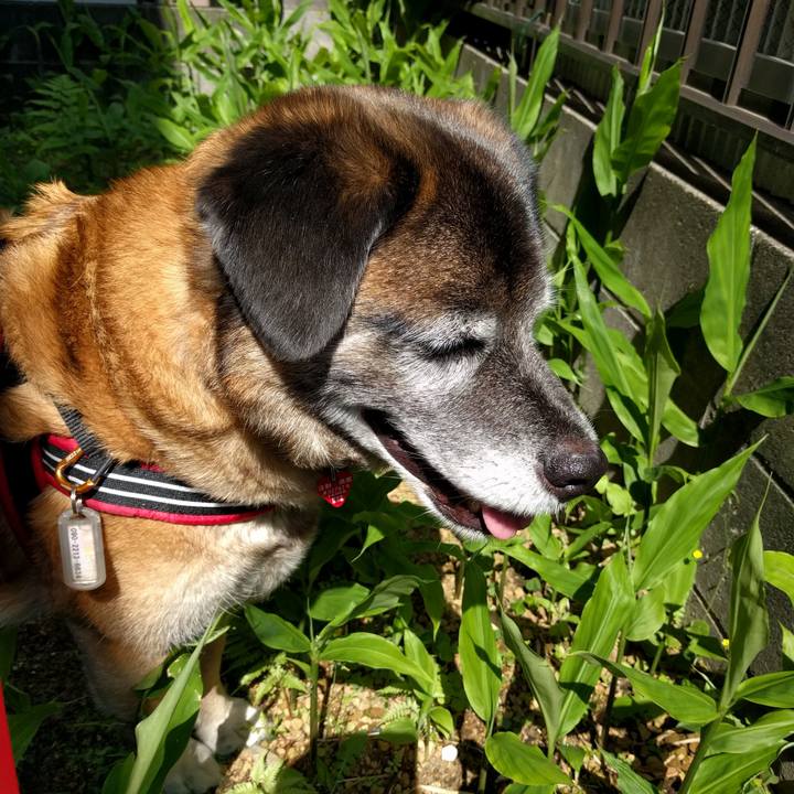 76c71106 f5b7 4a31 bbdf ed85feabdf8f