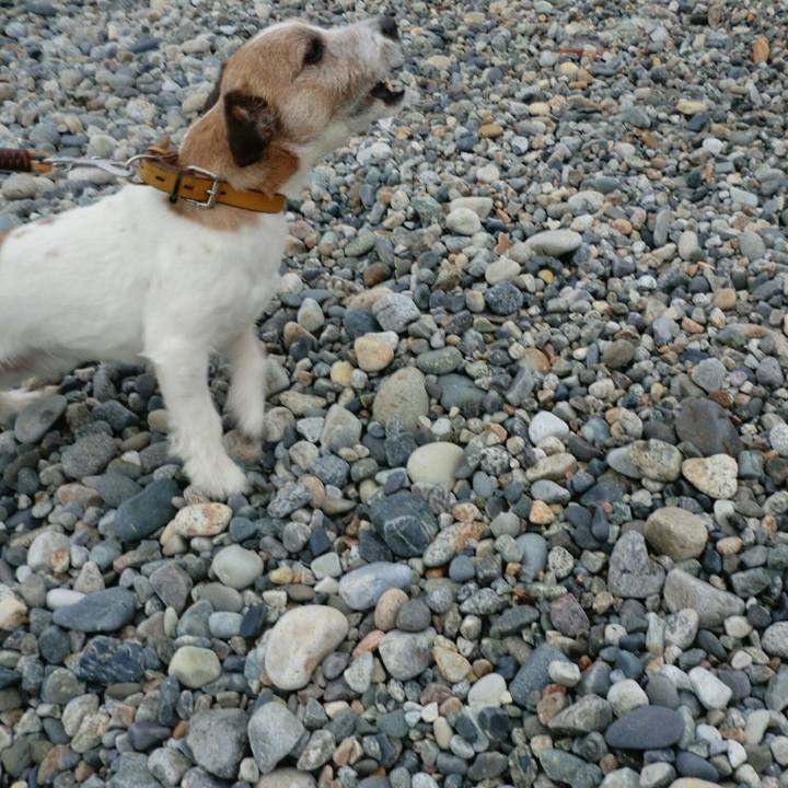 76c77ad4 2d21 4ba5 893f 19b9915fae40