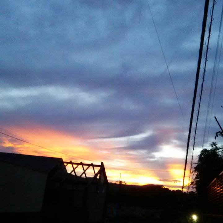 76c7d991 a2f4 472a 8edb 44b97cdaf86d