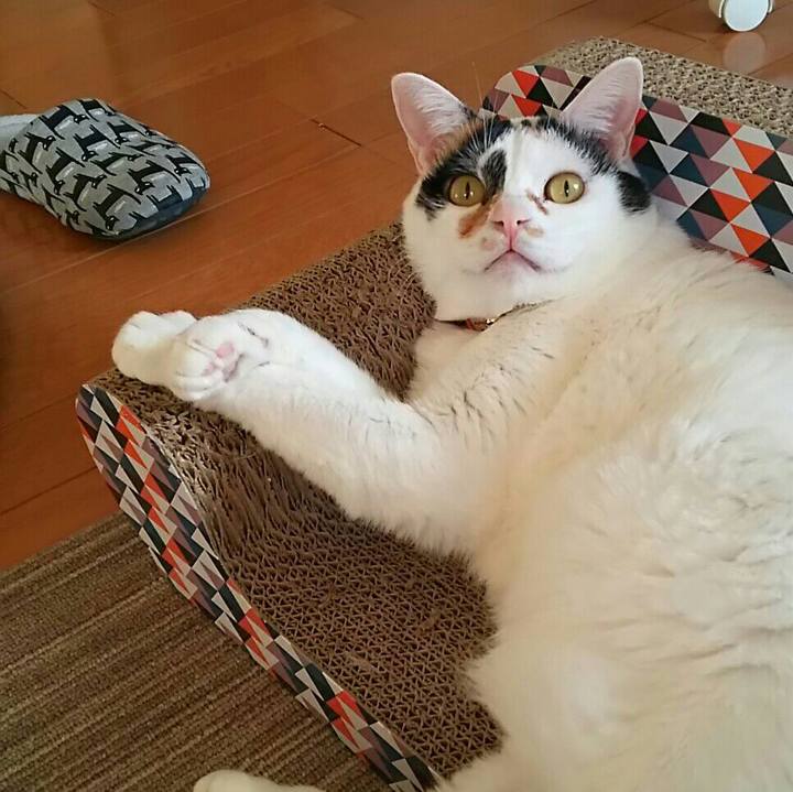 76c834e2 1d03 4ed5 b3e4 0582ad1323a4