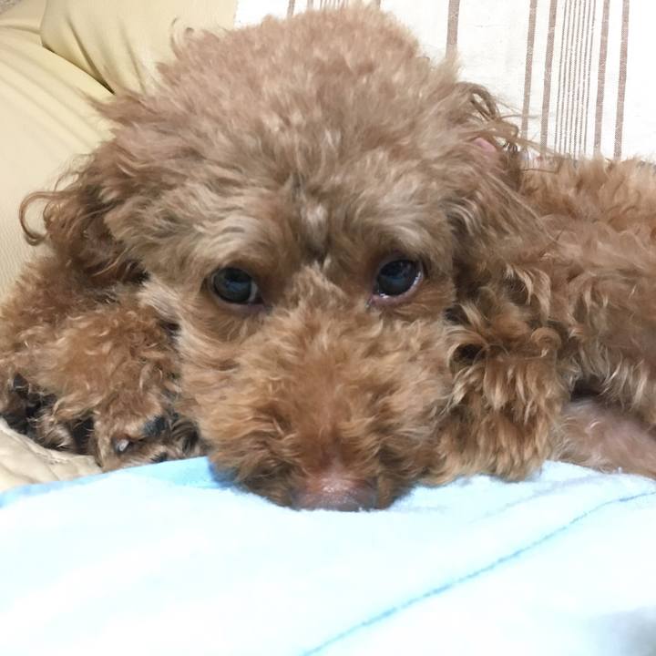 76c854ad 666d 4a05 a815 9abc749ae416