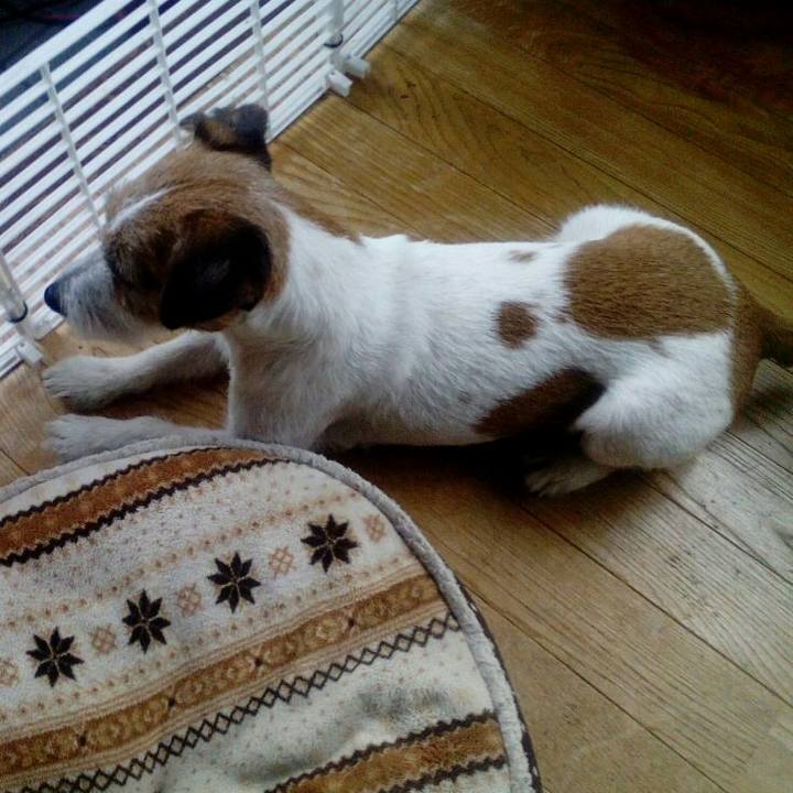 76c85975 3e65 40ff 9075 39f7bf03358b