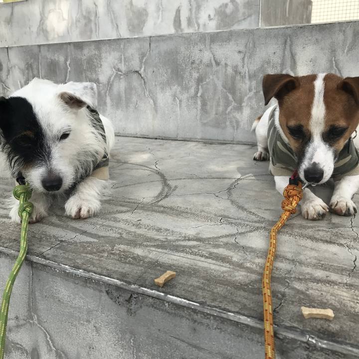 76c949ff 94fa 45a6 b125 4bf02e318a09