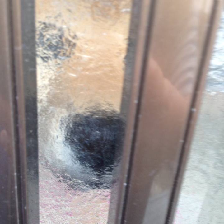 76c94dd3 c926 44b8 ba49 aed12b0d239b