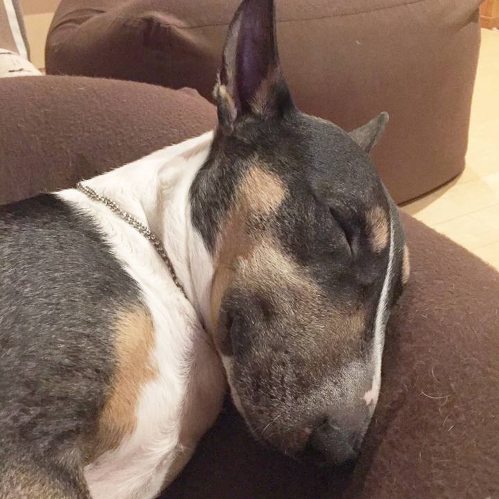 76c9cc0d af48 42d7 bf64 2d6b0abfbf1f