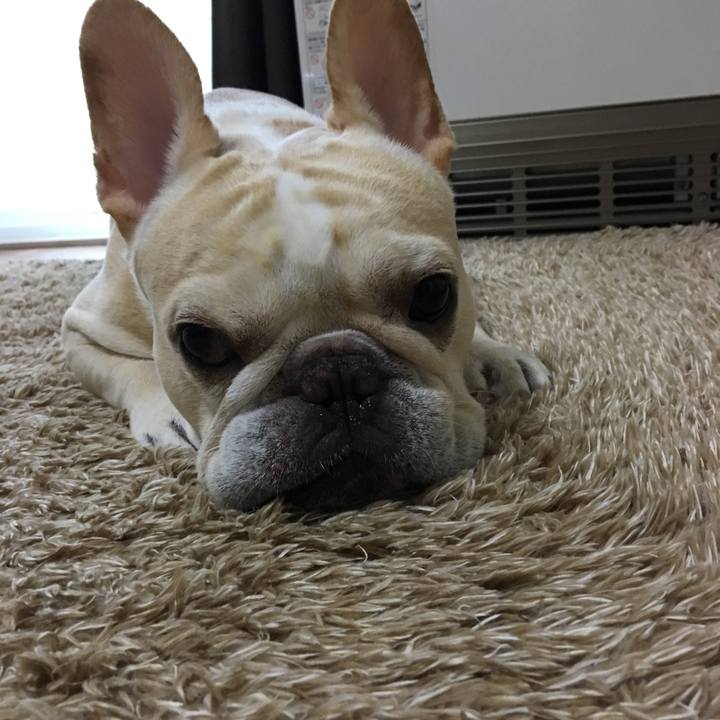 76c9f21c 35ed 4c81 960c 61ce58c4177a