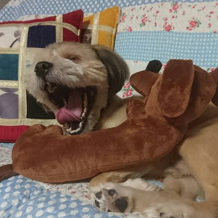 76ca12a6 1fc3 4a9a 961f 45865f07cf1b