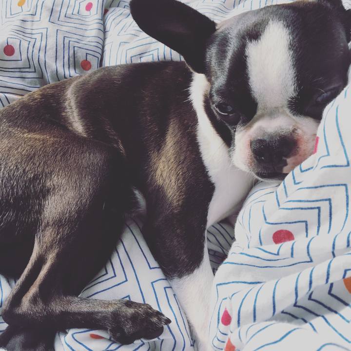 76cac61c 3a4e 4789 a172 71a0e1e86c78