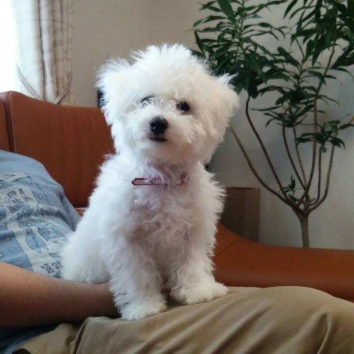 76cb9415 1540 4f29 bba1 6ffe657d49eb