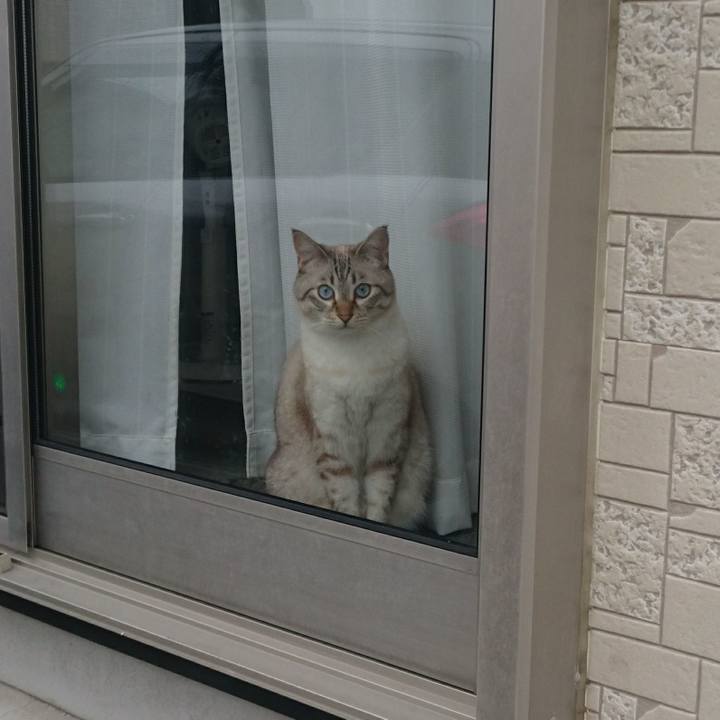 76cba227 e901 4089 9cba e4a7da0a2edc