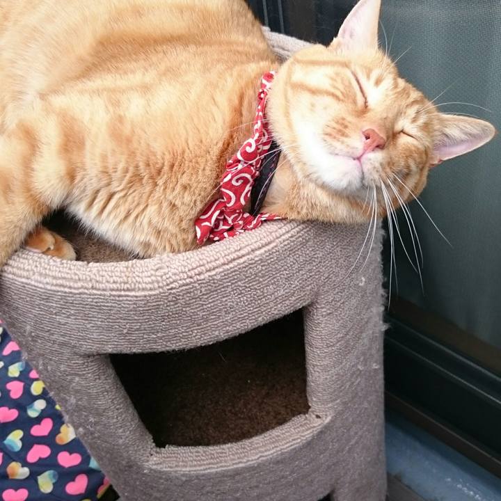 76cc95c8 ff60 42eb 9101 825858674ea2