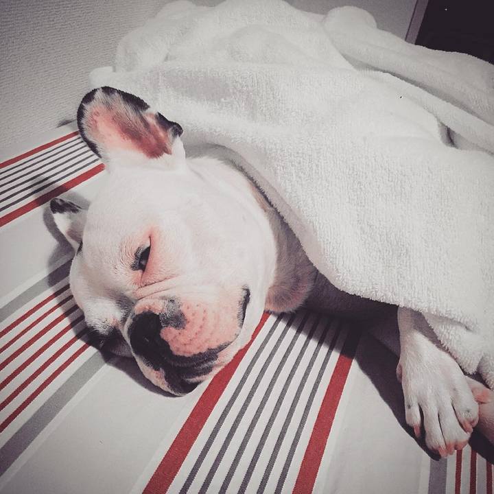 76cd6453 7b44 4ac9 95f3 51d2fb70090f