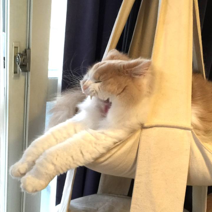 76cd73ff 599d 488b 9331 61123a78f07c