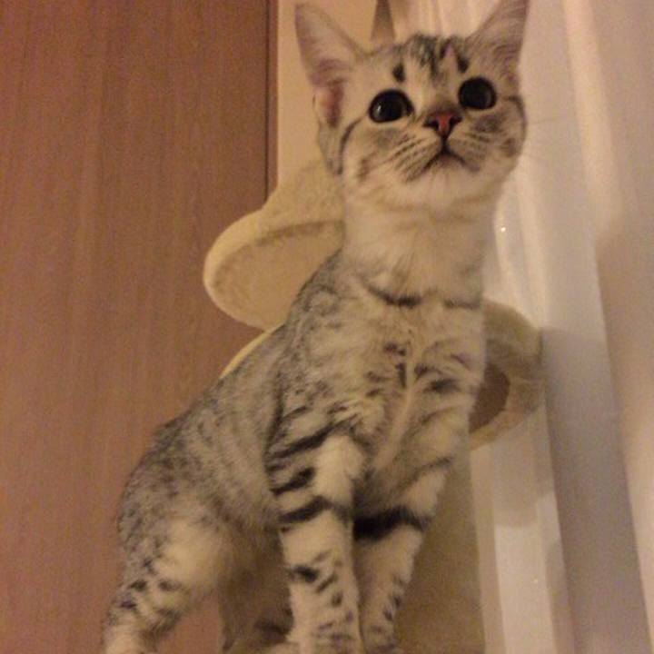 76cdbc36 5ecb 4beb 939e 276272bd4747