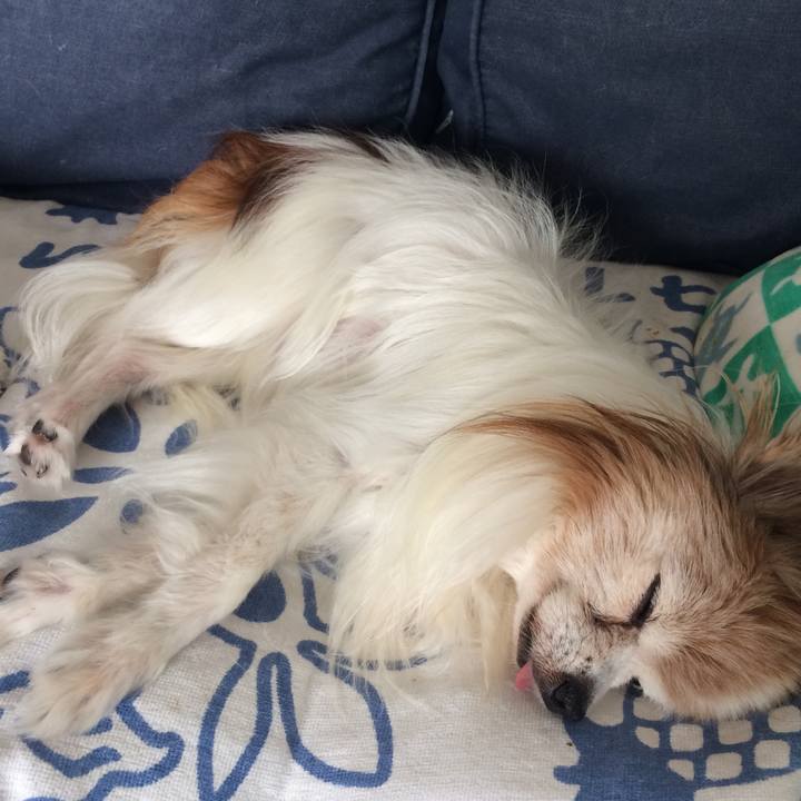 76cddb35 351f 4920 a59d 6a318695972f