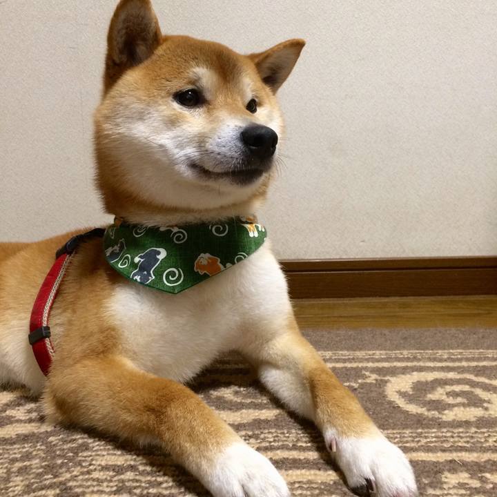 76ce36b0 8d76 4324 b125 0aacad14a24b