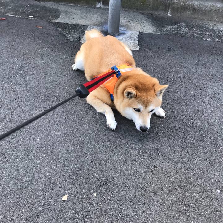 76cf2ae9 cb8a 436f acf5 cacc6e12f434