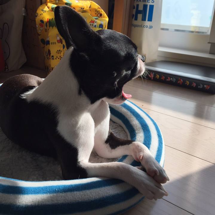 76cf386a 9531 4b8f bd78 d5d251a97b53