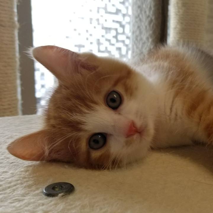 76d00cf2 0a39 476a abef 9ba75fd252e7