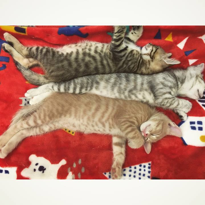 76d0819f 19cc 49f1 92ee 52435c21fc10