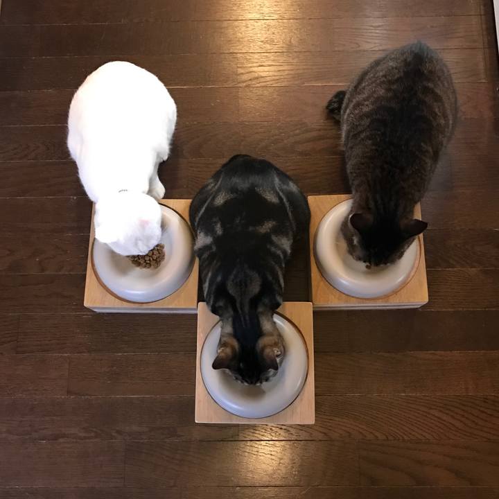 76d0e396 cc33 4cc2 818a 5b494d9c98b0