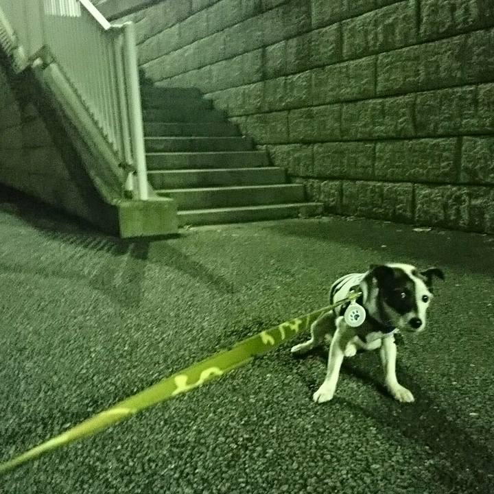 76d1c1a2 7f04 4043 800a 2139800121ad