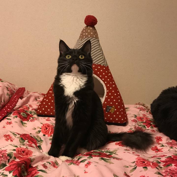 76d1e749 b250 4bf4 be68 9894ad15b3c5