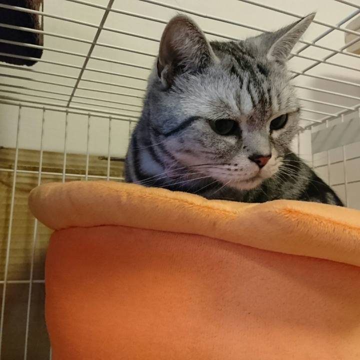 76d2e1d6 4124 453b b25a 9873dc65bbfd