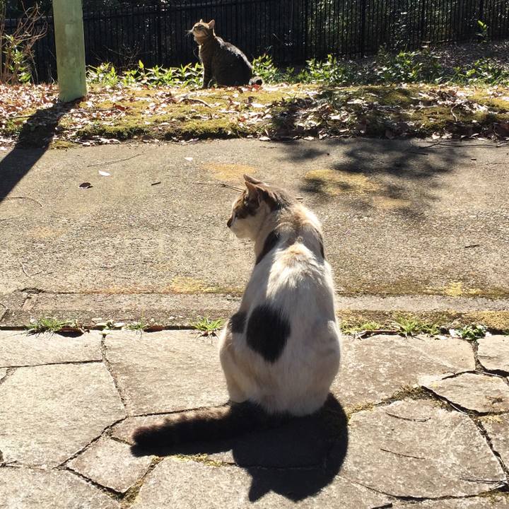 76d30a77 343e 4c21 be16 4770adcb2ba8