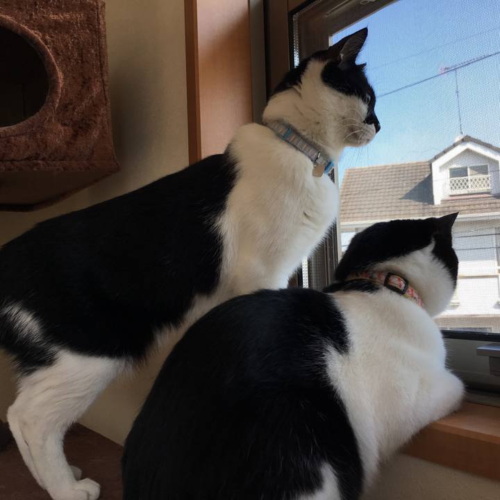 76d32b83 da2f 4082 8ccf e43d7948ddd8