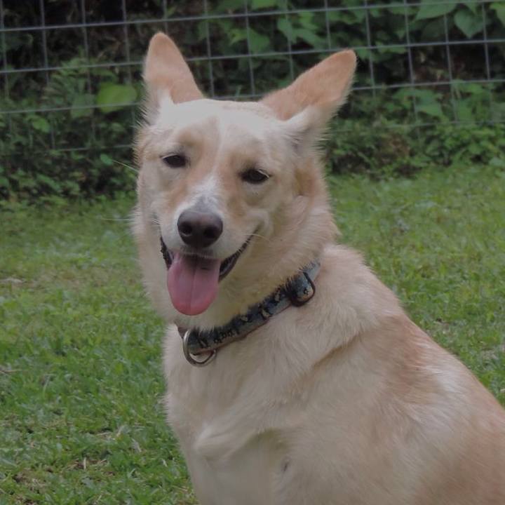 76d36db9 7f66 48cf a2ae 3f2c494a1801