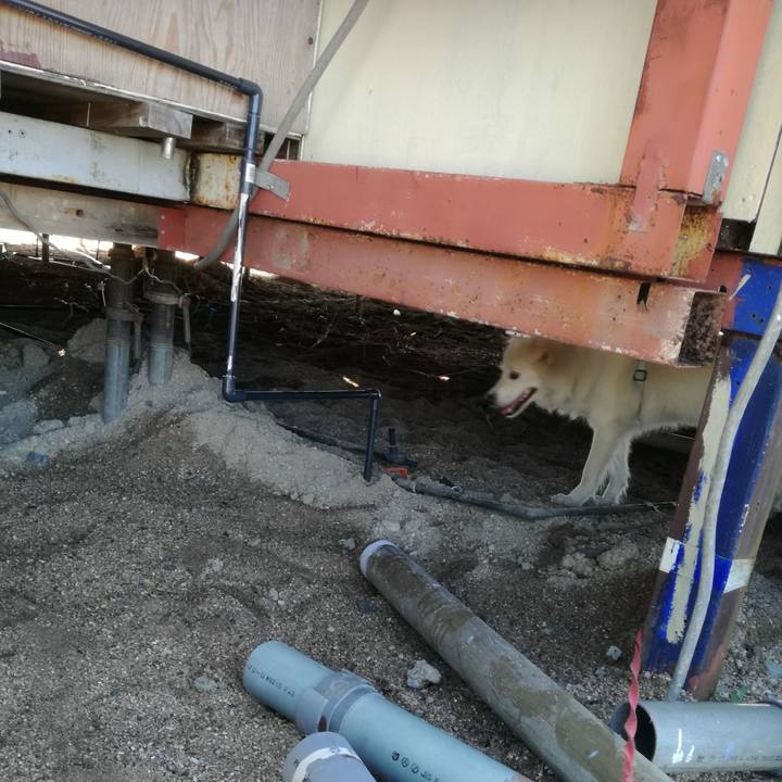 76d3b1ce 1712 4ae1 acca 2455e95a6e8b