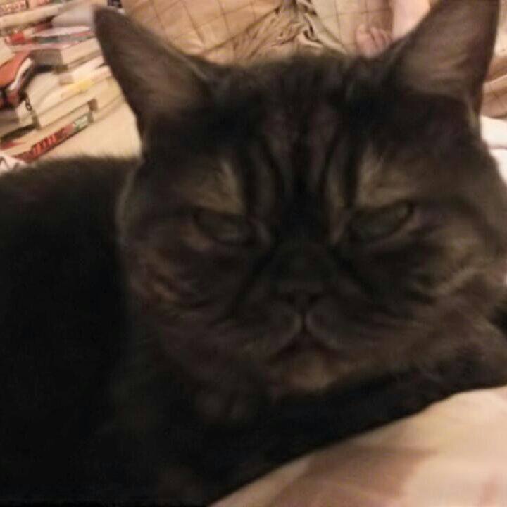 76d49197 e1f5 460d be60 22e9e59d4ba1