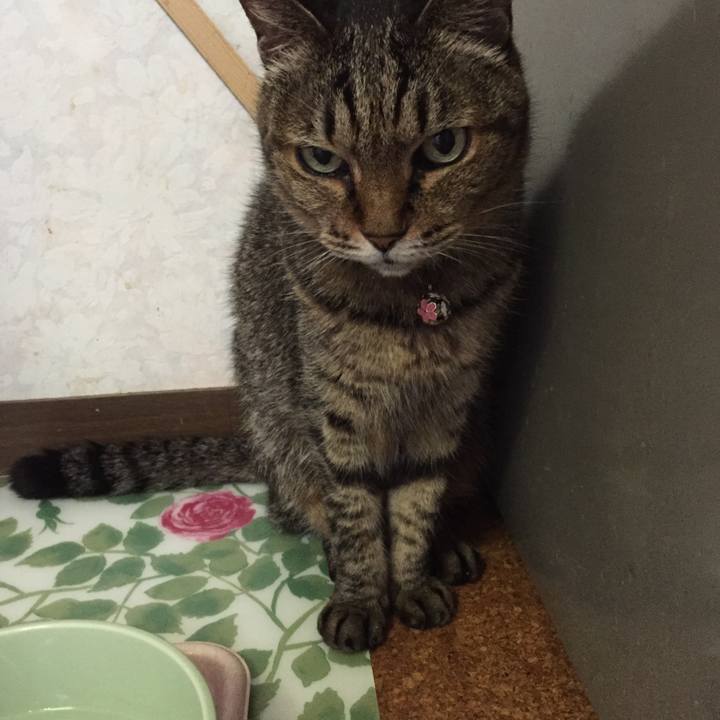 76d4cb75 1e0d 4c11 a190 d0552f3352eb