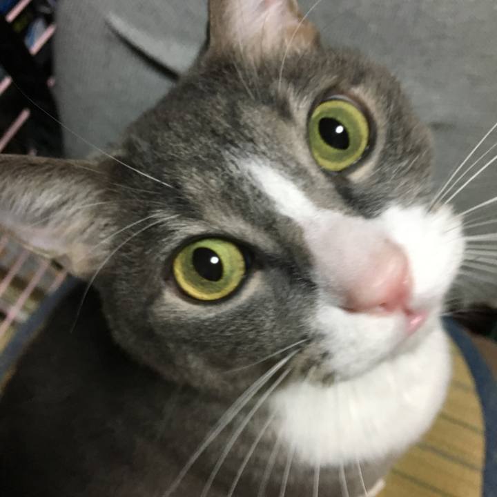 76d51a74 a3bf 4825 848a 369ecd943c89