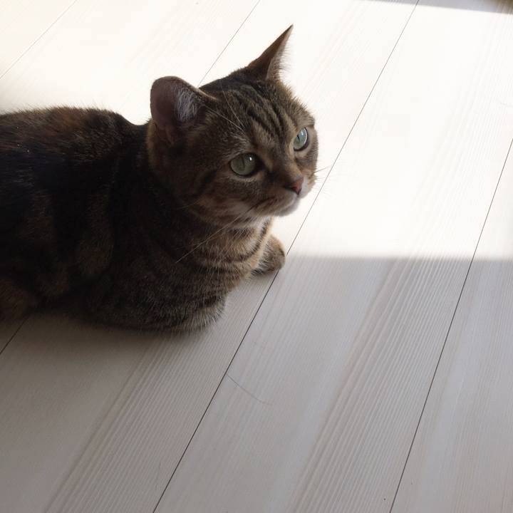 76d534aa ccc2 4789 a7b0 ac20adf28177