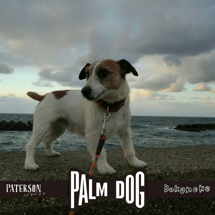 76d56eab b0b6 4805 b89e 95f2dc4e701b