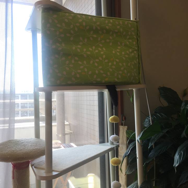 76d5a577 c6b7 4f0c a373 6be8b94f9ef8