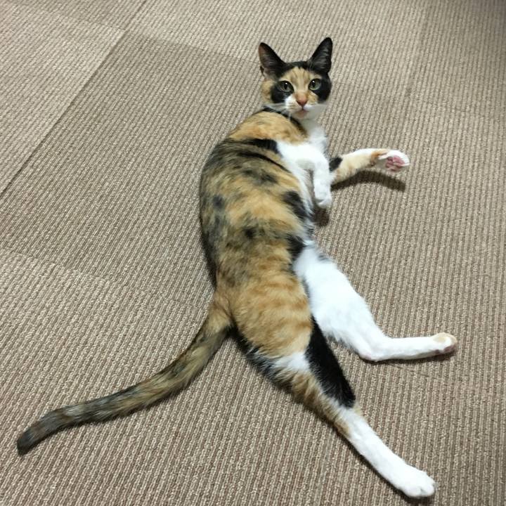 76d66d98 26e6 497b 8327 aa4b77052cc9