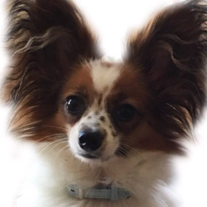 76d7c3a9 f5f5 4943 93d8 e2df084c5e5b