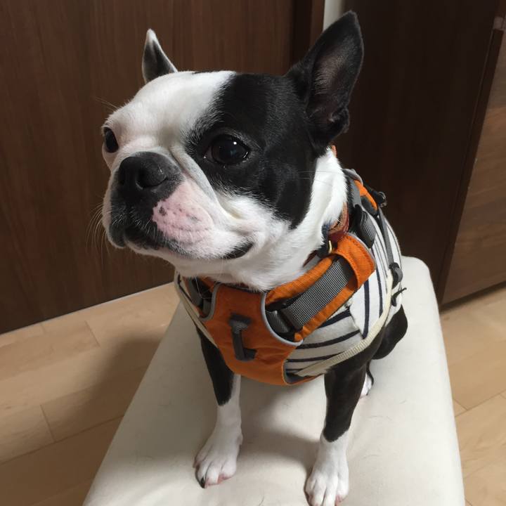 76d7cb2d 81f8 4d50 9b13 34d92251c7b5